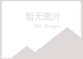 铁岭雪青能源有限公司